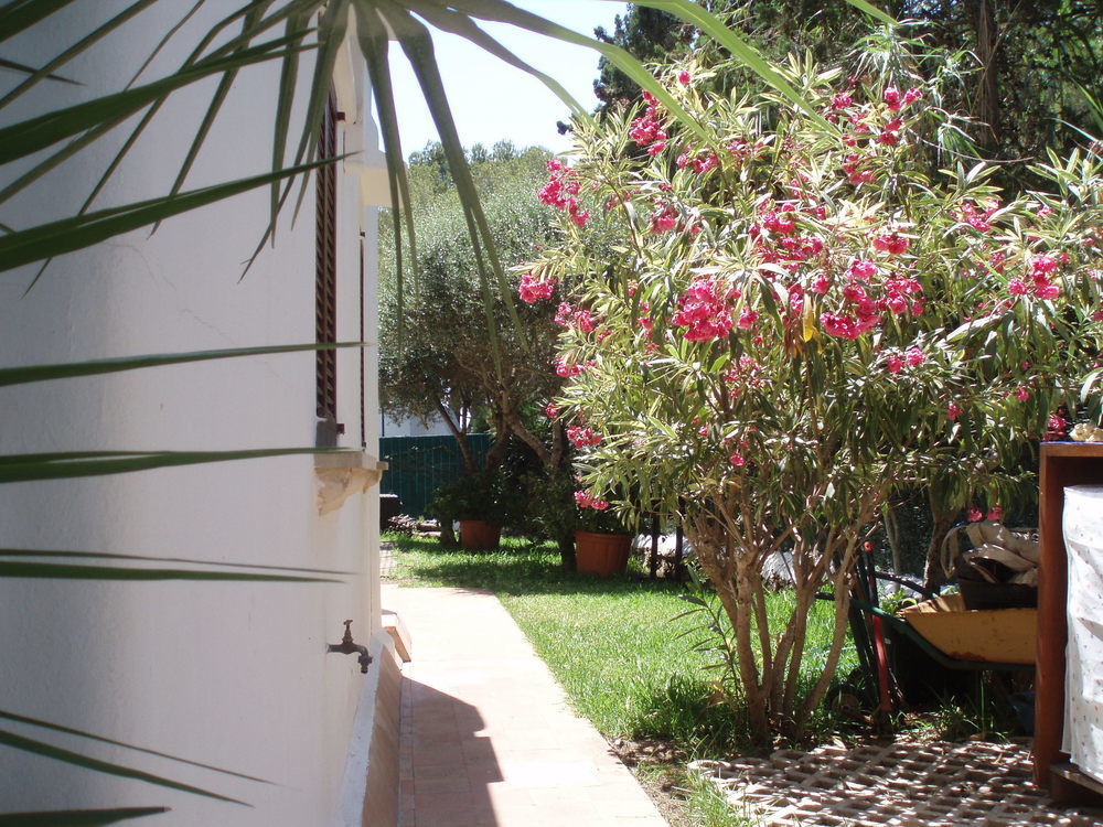 Apartamentos Osa Menor กาลาดอร์ ภายนอก รูปภาพ